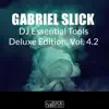Gabriel Slick - DJ Essential Tools: Deluxe Edition, Vol. 4.2